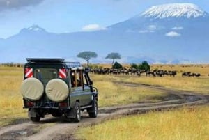 Nairobi: safari de 3 días en el Parque Nacional de Amboseli con vuelos