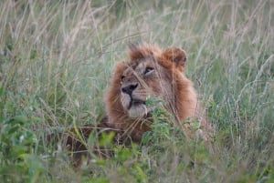 Nairobi: 3-Day Arusha & Ngorongoro Crater Safari Tour