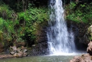 Nairobi: 3 päivän vapaustaistelukierros ja teetarha