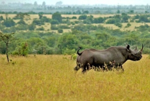 Nairobi: 3-Day Lake Turkana Fishing and Wildlife Tour