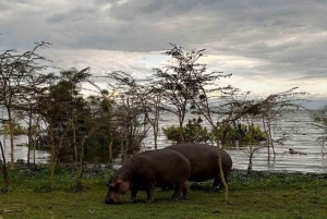 Nairobi: 3-Day Lake Turkana Fishing and Wildlife Tour