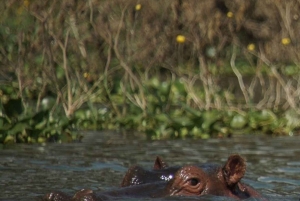 Nairobi: 3-Day Lake Turkana Fishing and Wildlife Tour