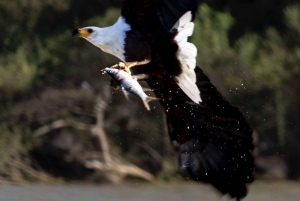 Nairobi: 3-Day Lake Turkana Fishing and Wildlife Tour