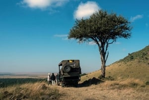 Nairobi : safari de groupe de 3 jours à Masai Mara avec nuit au camp