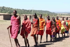 Nairobi : safari de groupe de 3 jours à Masai Mara avec nuit au camp
