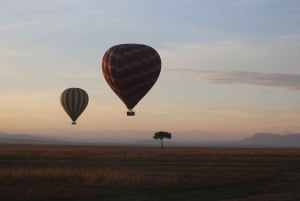 Z Nairobi: 3-dniowe safari grupowe Maasai Mara samochodem terenowym