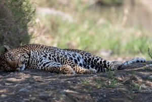 Nairobi: Safari de 3 días a Maasai Mara con alojamiento.AW