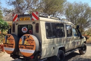 ナイロビ：マサイマラサファリ3日間（宿泊付