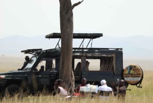 ナイロビ：マサイマラサファリ3日間（宿泊付