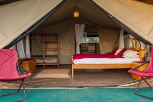Nairobi: 3-Day Masai Mara Camping or Lodge Safari
