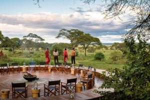 Nairobi: 3 päivän safari Masai Mara -kansallispuistossa