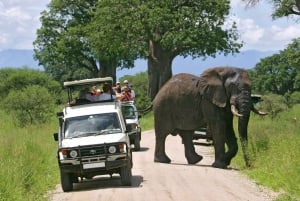 Nairobi : 3 jours de safari dans le Masai Mara avec lodge de luxe et vols