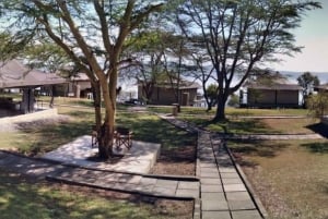 Nairobi: 3-dniowa wycieczka po dzikiej przyrodzie i farmie kwiatów Naivasha