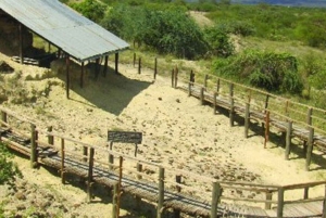 Nairobi: 3-dniowa wycieczka kempingowa do prehistorycznego miejsca Olorgesailie