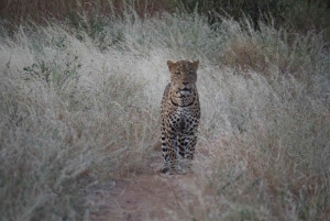 Nairobi: 3-Day Samburu National Reserve Safari Tour