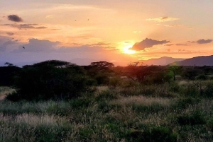 Nairobi: 3-Day Samburu National Reserve Safari Tour