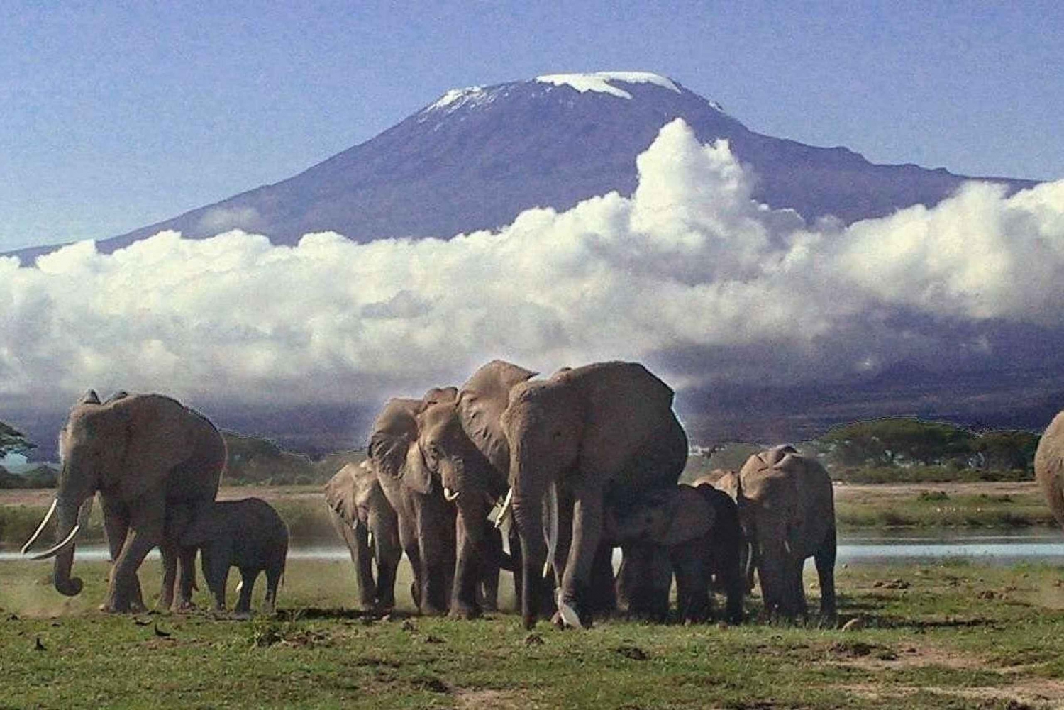 Nairobi: 3-dages tur til Amboseli Nationalpark