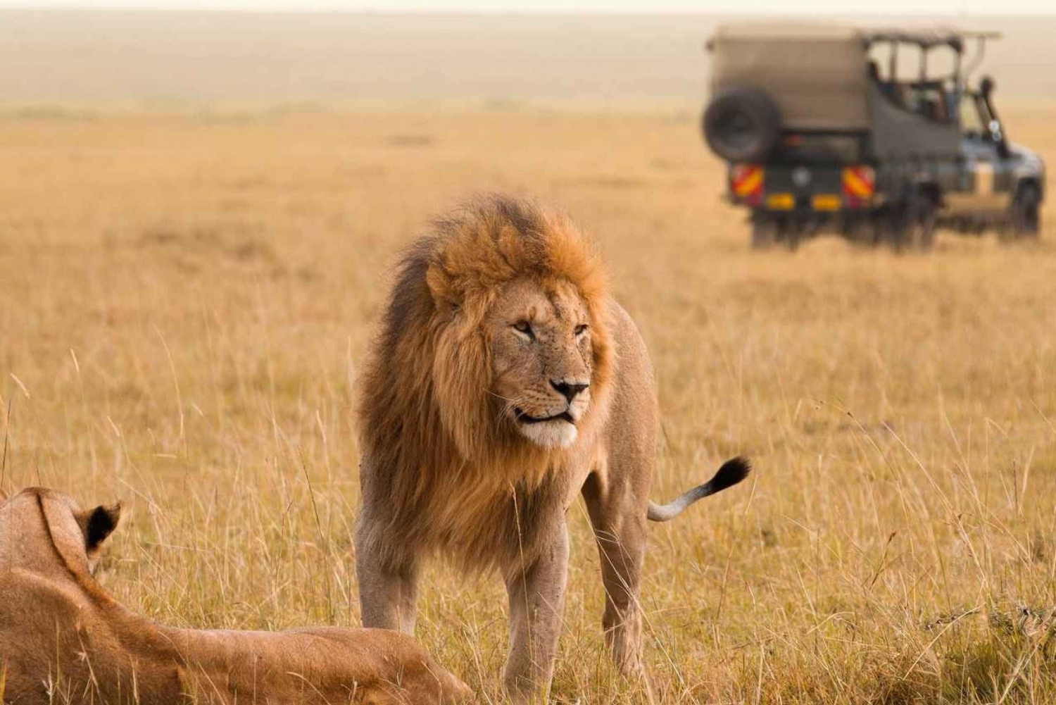 Nairobi:3-Days Maasai Mara Safari