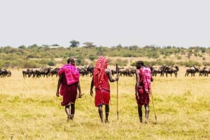 Nairobi:3-päiväinen Maasai Mara safari