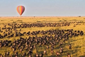 Nairobi:3-Days Maasai Mara Safari