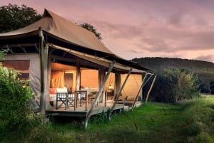 Nairobi:3-Days Maasai Mara Safari