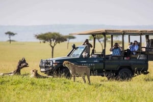 Nairobi:3-Days Maasai Mara Safari