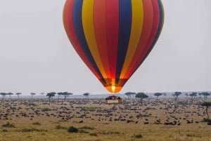 Nairobi:3-Days Maasai Mara Safari