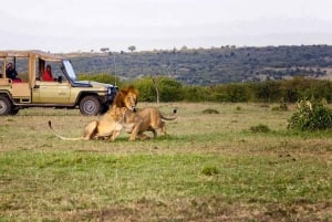 Nairobi:3-Days Maasai Mara Safari