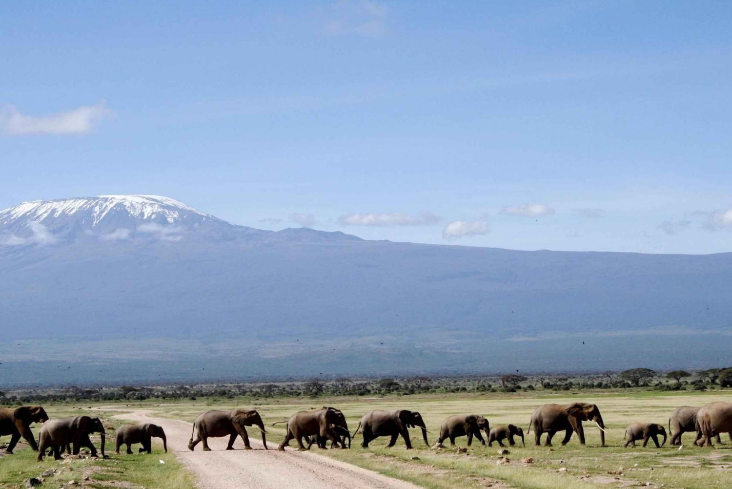 Nairobi: 4-päiväinen Amboselin kansallispuiston safari