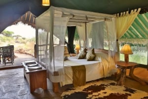 Nairobi: safari nel parco nazionale di Amboseli di 4 giorni
