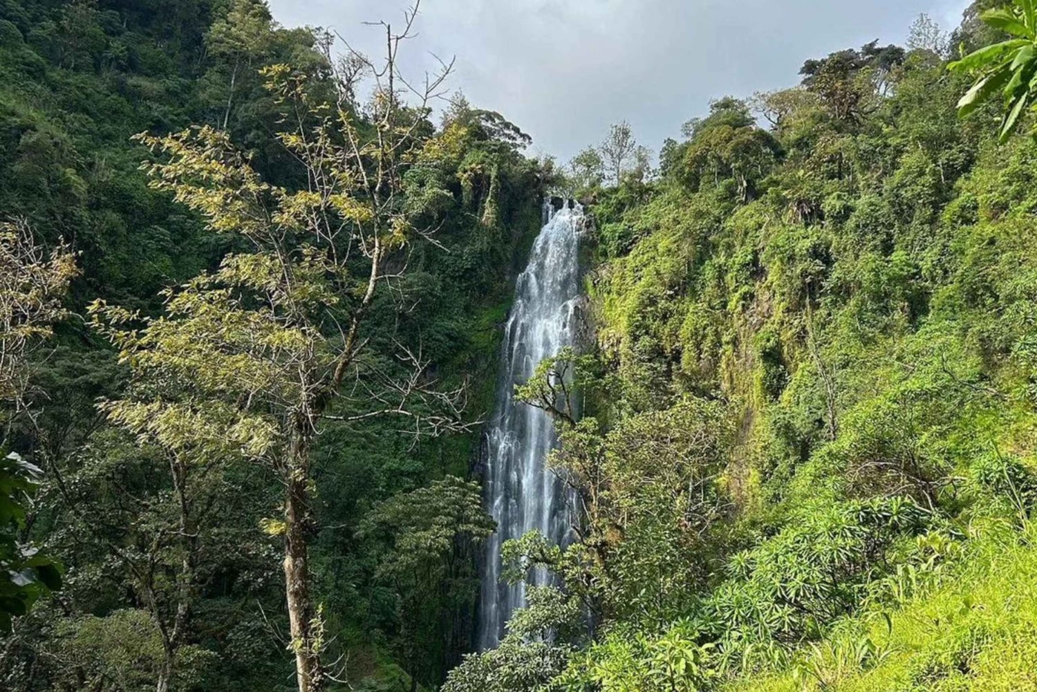 Nairobi: 4-Day Arusha Adventure & Nature Escape