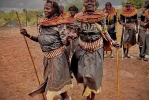 Nairobi: 4-dniowa wyprawa na pustynię Chalbi, do oazy Kalacha i nad jezioro Turkana