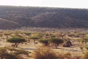 Nairobi: 4-dniowa wyprawa na pustynię Chalbi, do oazy Kalacha i nad jezioro Turkana