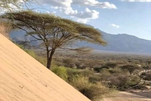 Nairobi: 4-dniowa wyprawa na pustynię Chalbi, do oazy Kalacha i nad jezioro Turkana