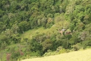 Nairobi: 4-dniowa wyprawa na pustynię Chalbi, do oazy Kalacha i nad jezioro Turkana