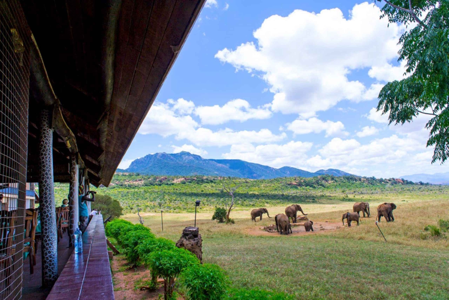 Найроби: 4-дневный тур класса люкс в Амбосели, Цаво-Уэст и Цаво…