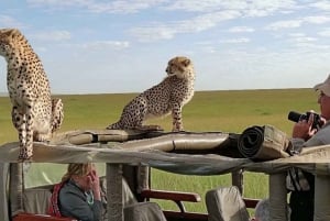 Nairobi: 4-dagers campingsafari i Maasai Mara og ved Nakurusjøen