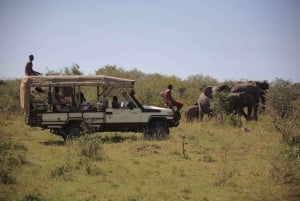 Nairobi: 4-Day Maasai Mara & Lake Nakuru Camping Safari