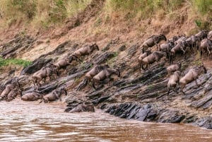Nairobi: Safari de 4 días en camping por Maasai Mara y el lago Nakuru