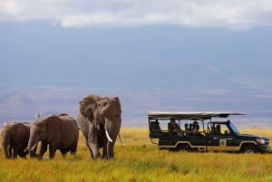 Nairobi: 4-Day Maasai Mara & Lake Nakuru Camping Safari