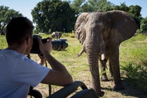 Nairobi: 4-Day Maasai Mara & Lake Nakuru Camping Safari