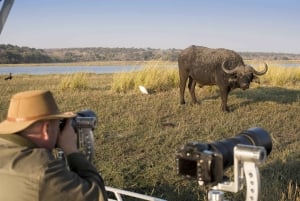 Nairobi: 4-Day Maasai Mara & Lake Nakuru Camping Safari