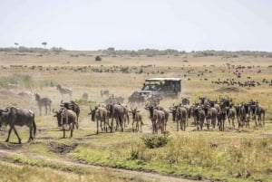 Nairobi: Excursión de 4 días a Masai Mara, Lago Naivasha y Puerta del Infierno