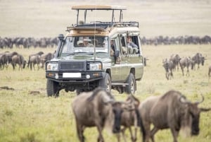 Nairobi: 4-Day Masai Mara, Lake Naivasha & Hell's Gate Tour