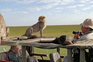 Nairobi: 4-Day Masai Mara & Lake Nakuru Safari - Mid-range