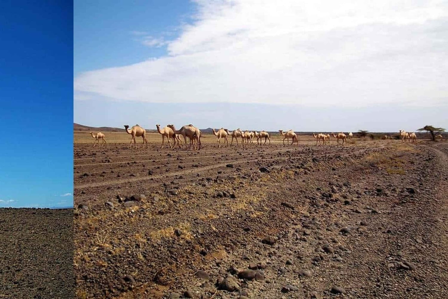 Nairobi: 4-dagars safari i norra Kenya och gömda pärlor