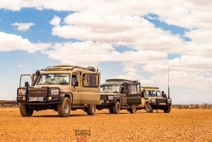 Nairobi: 4-dagars safari i norra Kenya och gömda pärlor