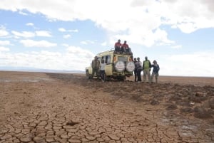 Nairobi: 4-dagars safari i norra Kenya och gömda pärlor