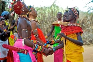 Nairobi: 4-dagars safari i norra Kenya och gömda pärlor