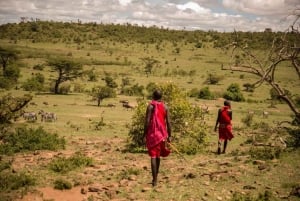 Nairobi: 4-dagars safari i norra Kenya och gömda pärlor